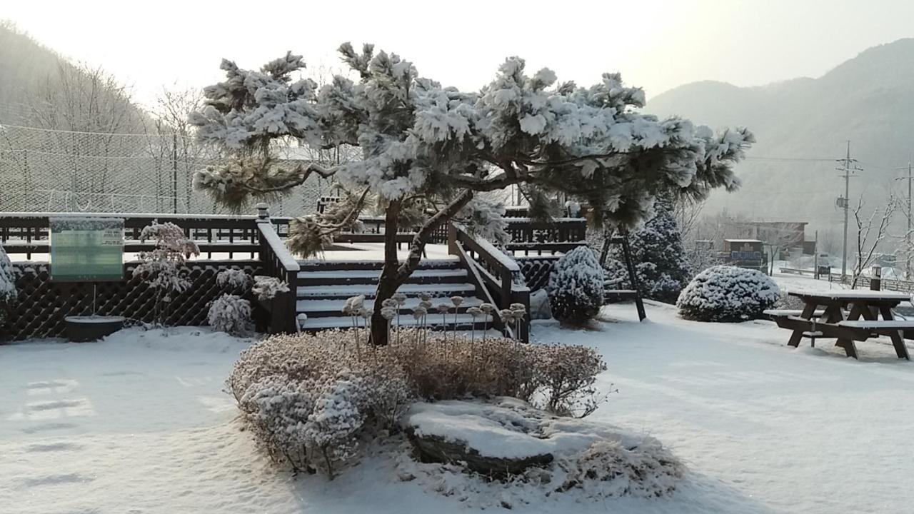 Forest Of Color Pension ฮองชอน ภายนอก รูปภาพ