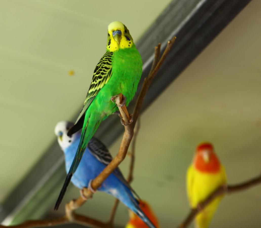 Forest Of Color Pension ฮองชอน ภายนอก รูปภาพ