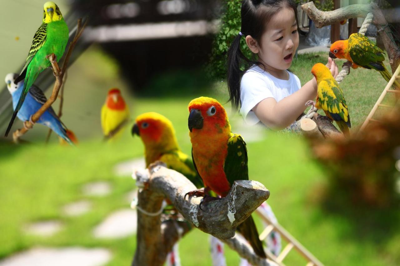 Forest Of Color Pension ฮองชอน ภายนอก รูปภาพ